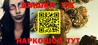 spice Дубна