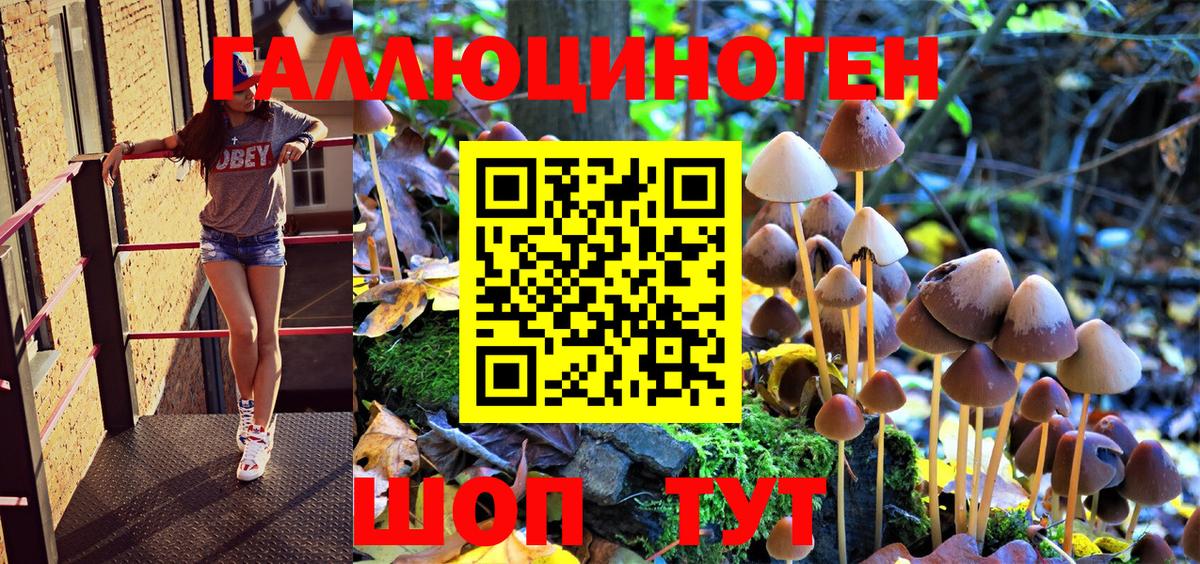 Псилоцибиновые грибы MAGIC MUSHROOMS  Псилоцибиновые грибы GOLDEN TEACHER  Лабытнанги  Вход с VPN 